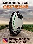 Школа езды на моноколесе!